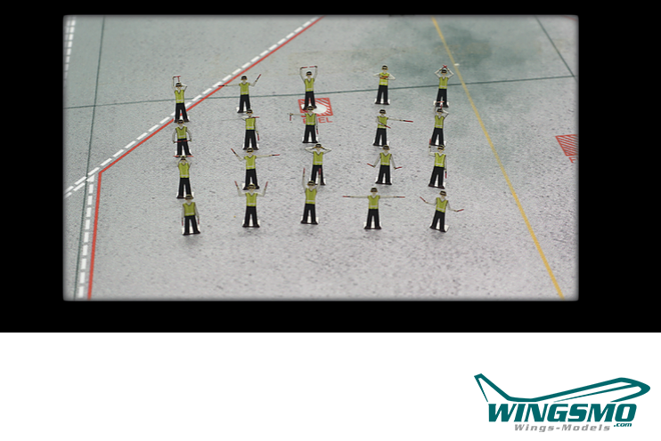 Limox Wings Einweiser 1:200 FWDP-PS-2012